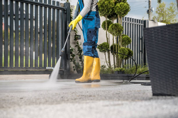 Best Graffiti Removal  in Capac, MI